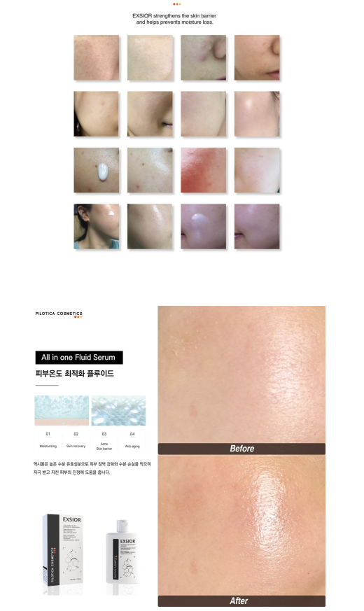 장벽개선] 필로티카 엑시올 플루이드 80ml