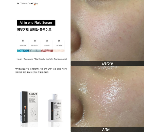 장벽개선] 필로티카 엑시올 플루이드 80ml